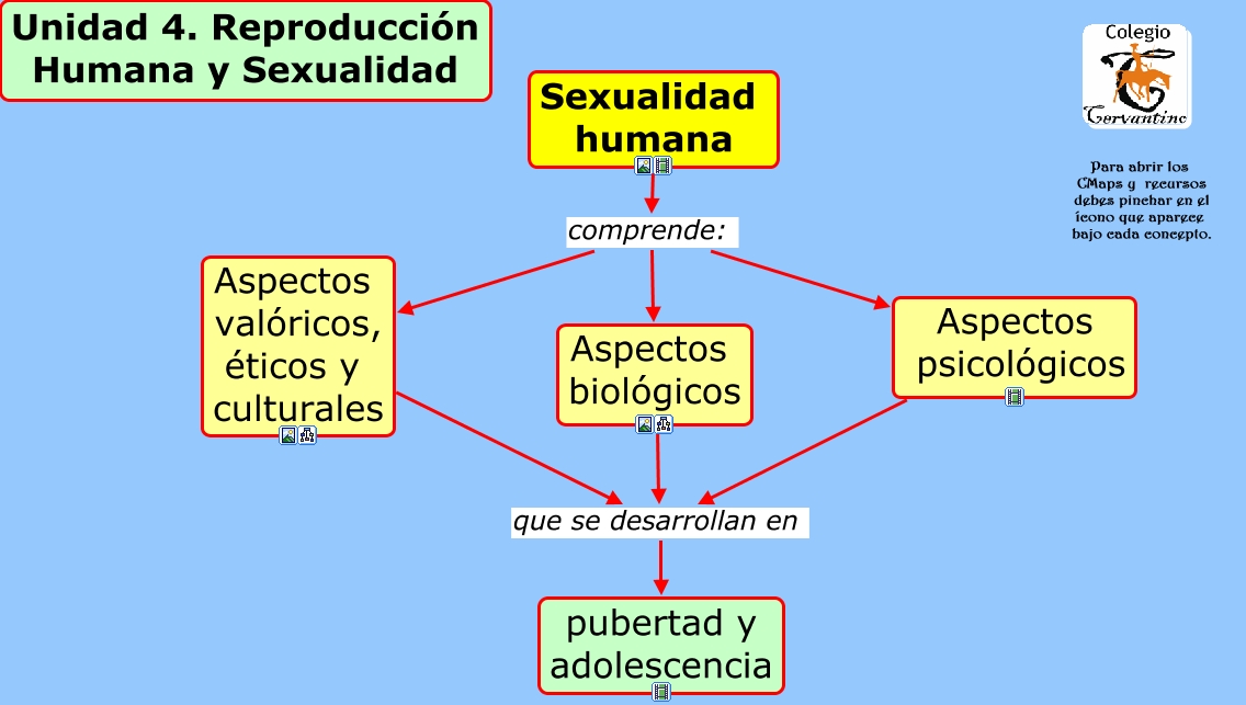 4 1 Sexualidad Humana